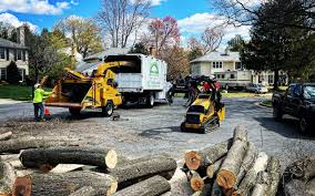 Hastings, PA Tree Services Company