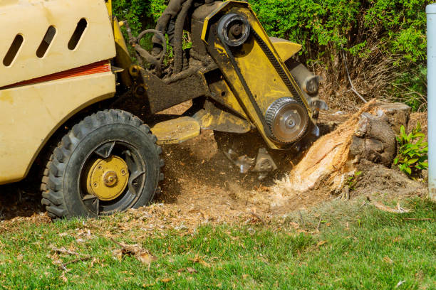 Leaf Removal in Hastings, PA